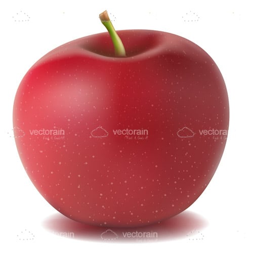 Delicious Red Apple